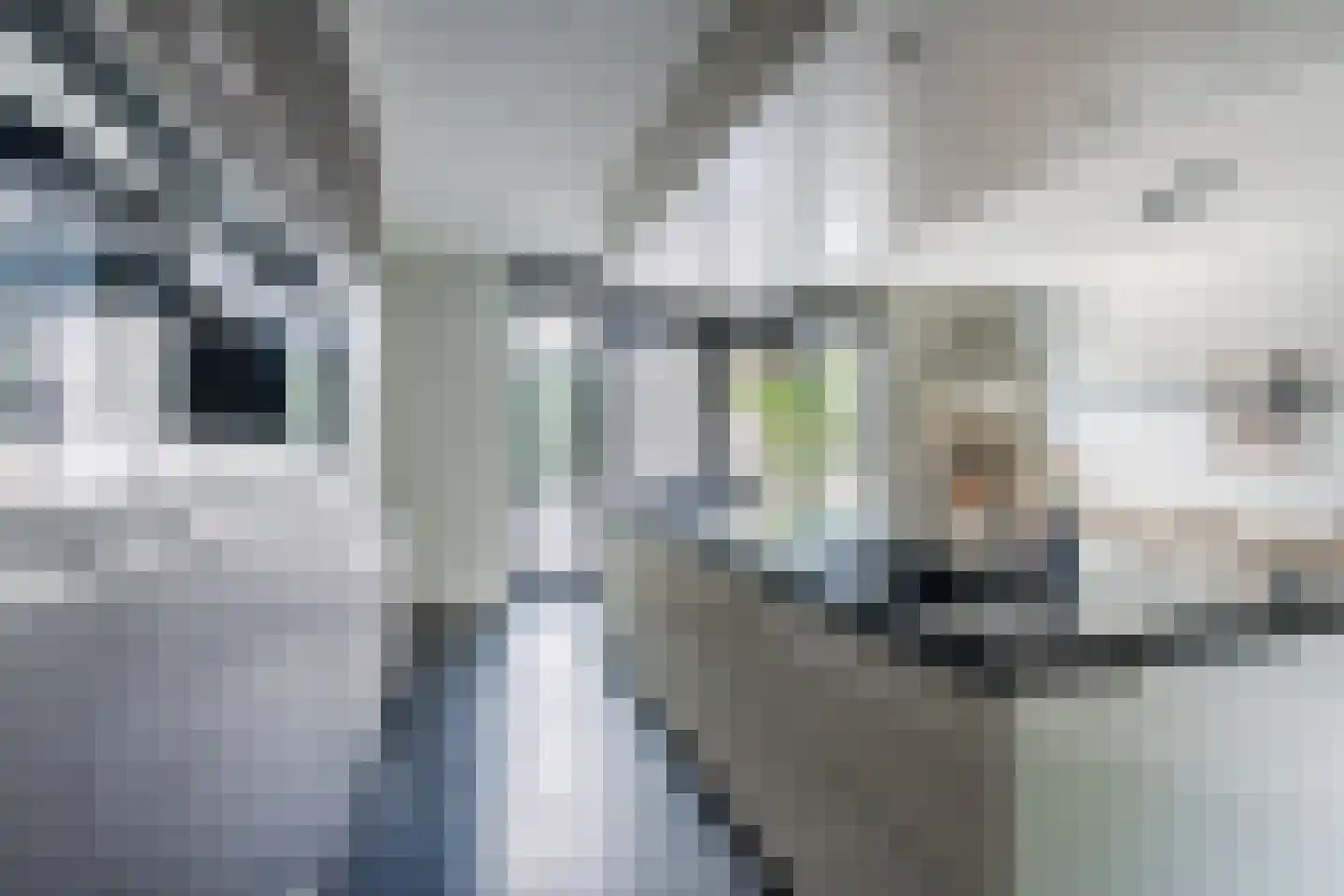 Aangelag 13 Nuenen thumbnail 20