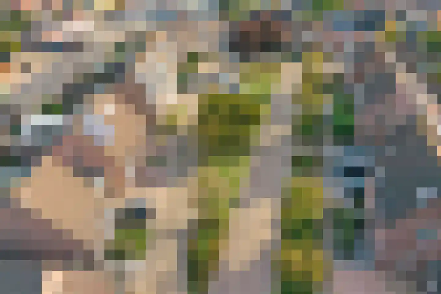 Aangelag 27 Reusel thumbnail 36