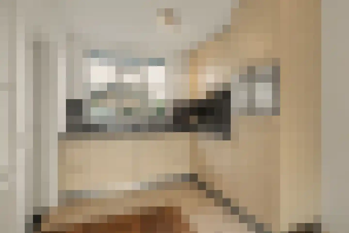 Aangelag 27 Reusel thumbnail 4