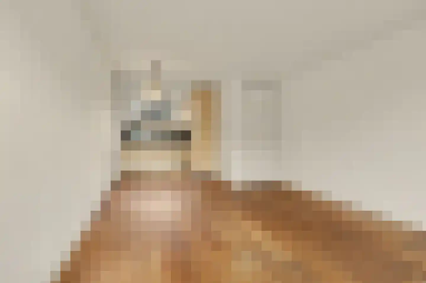 Aangelag 27 Reusel thumbnail 8