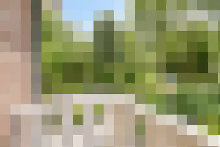 Aangelag 8 Valkenswaard thumbnail 23