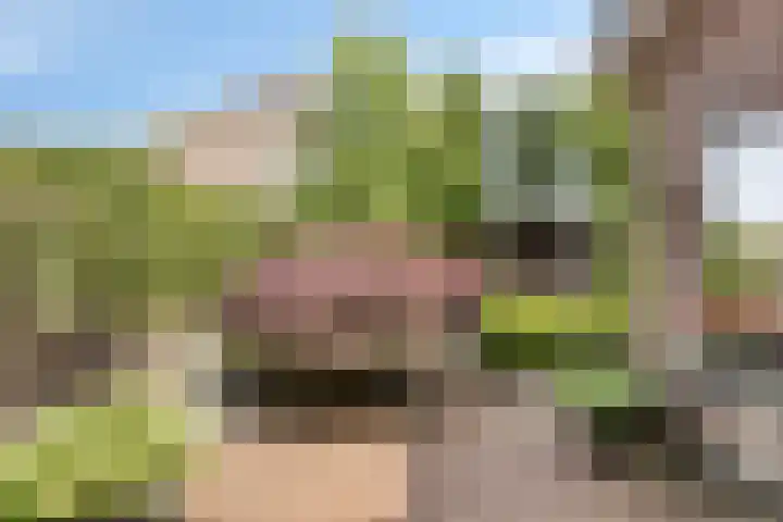 Aangelag 8 Valkenswaard thumbnail 29