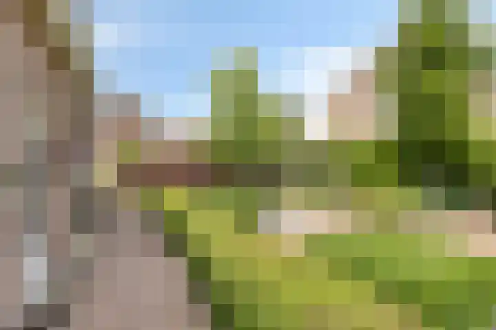 Aangelag 8 Valkenswaard thumbnail 30