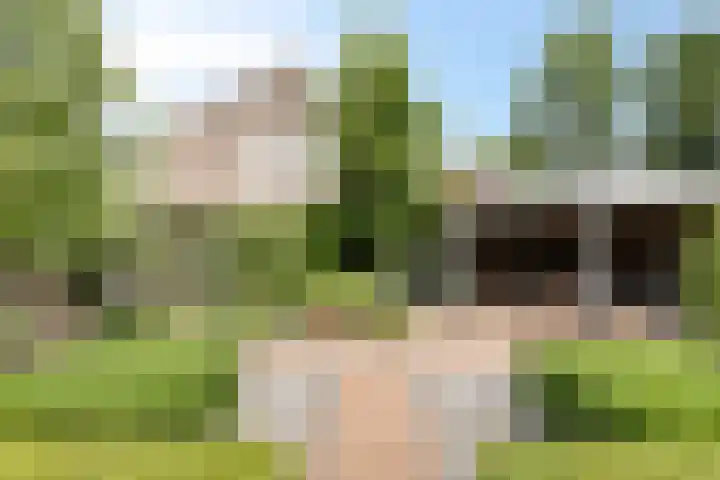 Aangelag 8 Valkenswaard thumbnail 31