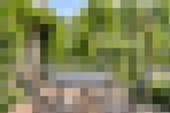 Aangelag 8 Valkenswaard thumbnail 33