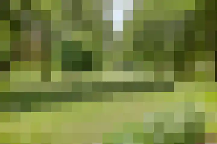 Aangelag 8 Valkenswaard thumbnail 37