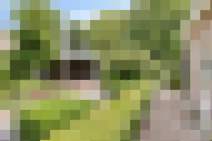 Aangelag 8 Valkenswaard thumbnail 4