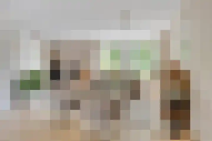 Aangelag 8 Valkenswaard thumbnail 8
