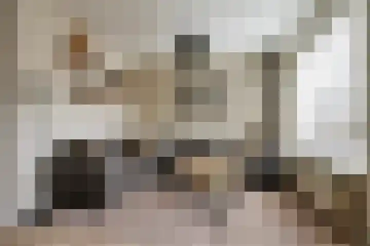 Aangelagen 29 Heeze thumbnail 11
