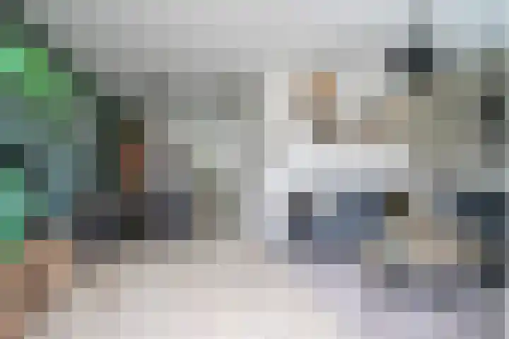 Aangelagen 29 Heeze thumbnail 12