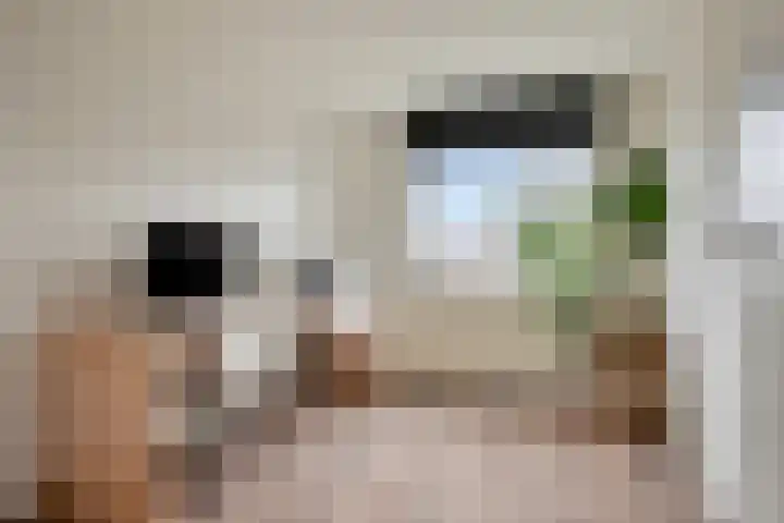 Aangelagen 29 Heeze thumbnail 20