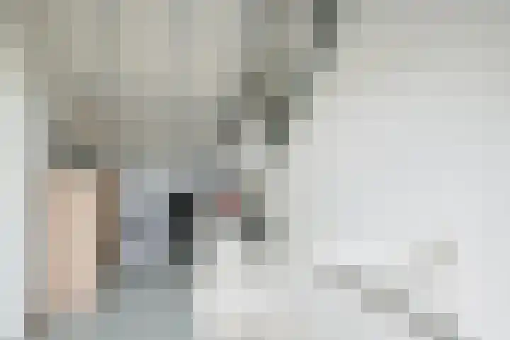 Aangelagen 29 Heeze thumbnail 25