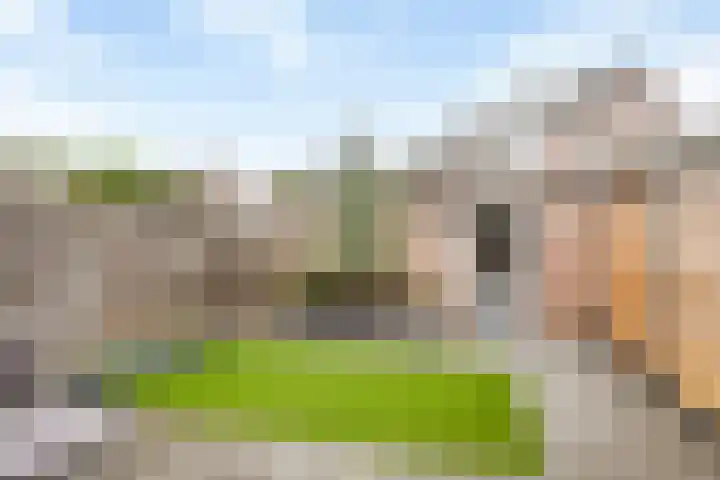 Aangelagen 29 Heeze thumbnail 29