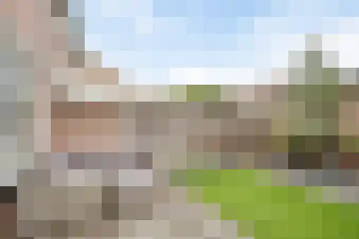 Aangelagen 29 Heeze thumbnail 30
