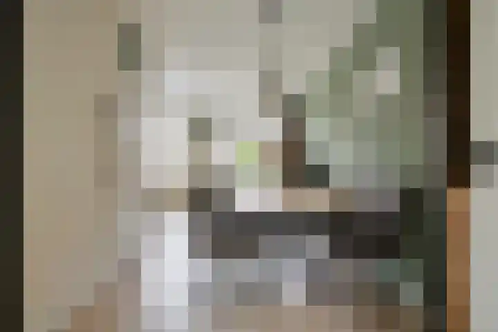 Aangelagen 29 Heeze thumbnail 9