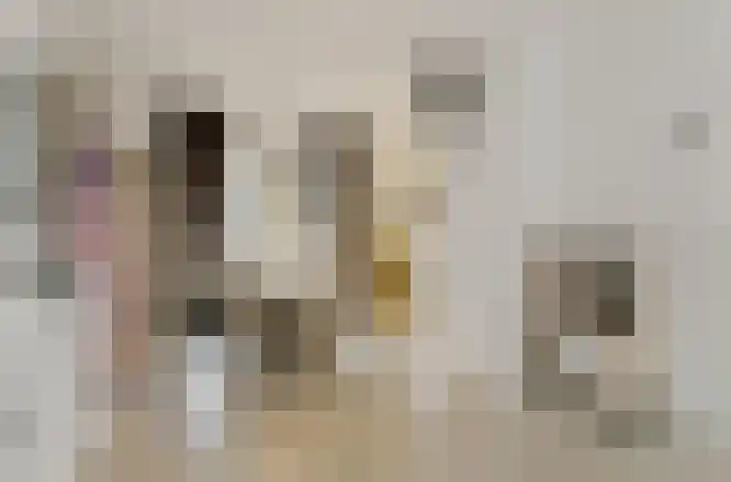 Aangelagen 3 Heeze thumbnail 6