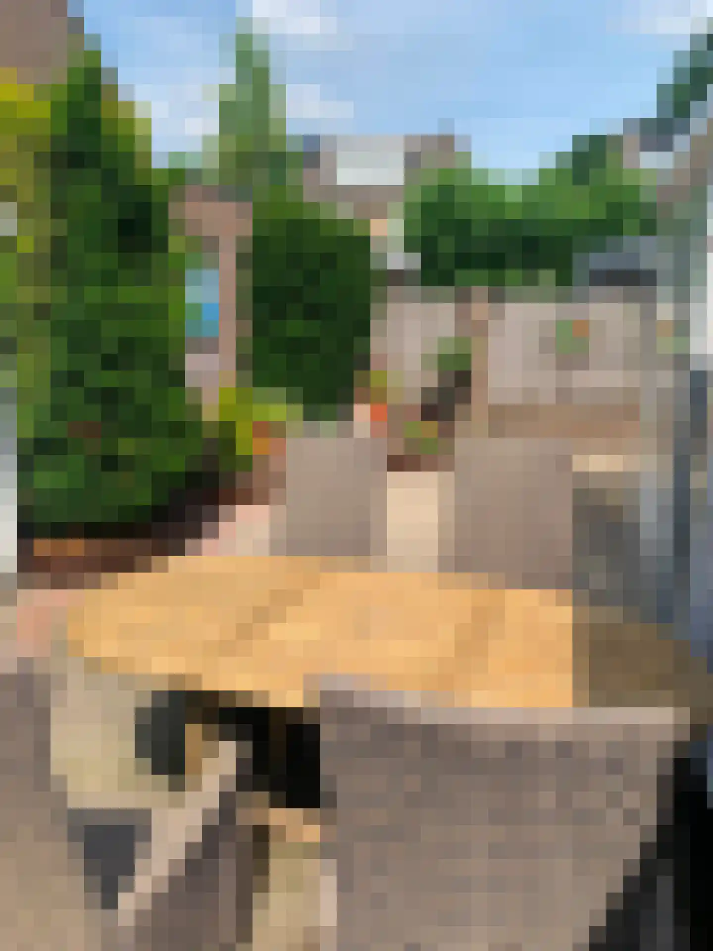 Aanschot 110 Eindhoven thumbnail 10