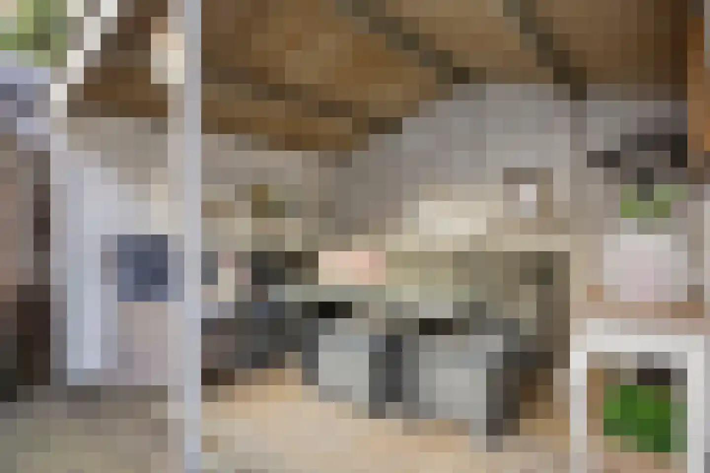 Aanschot 110 Eindhoven thumbnail 11