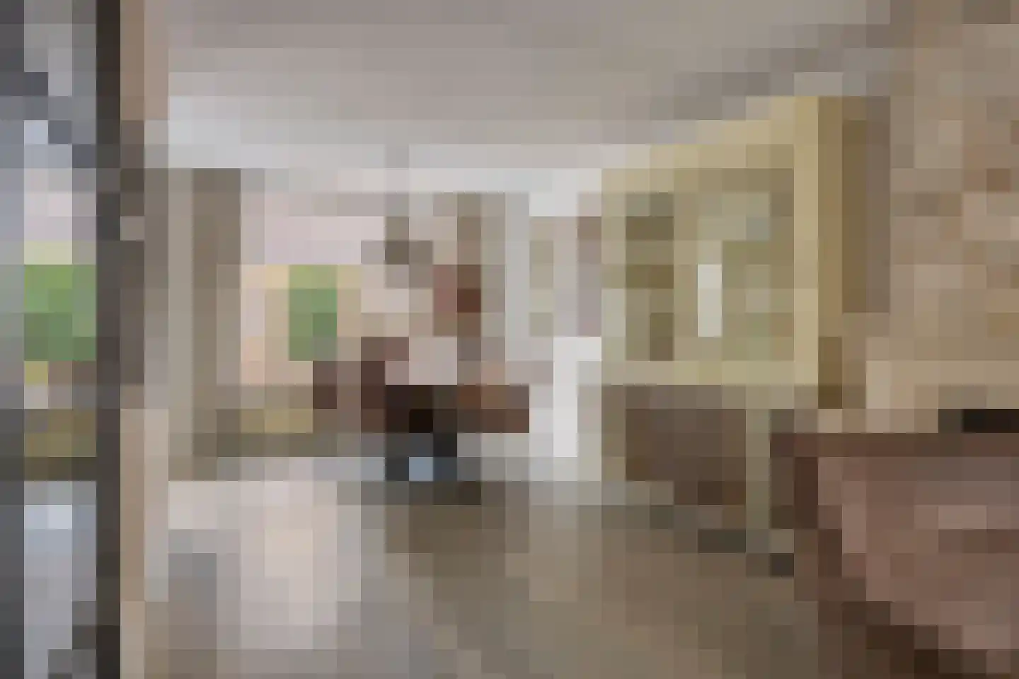 Aanschot 110 Eindhoven thumbnail 19