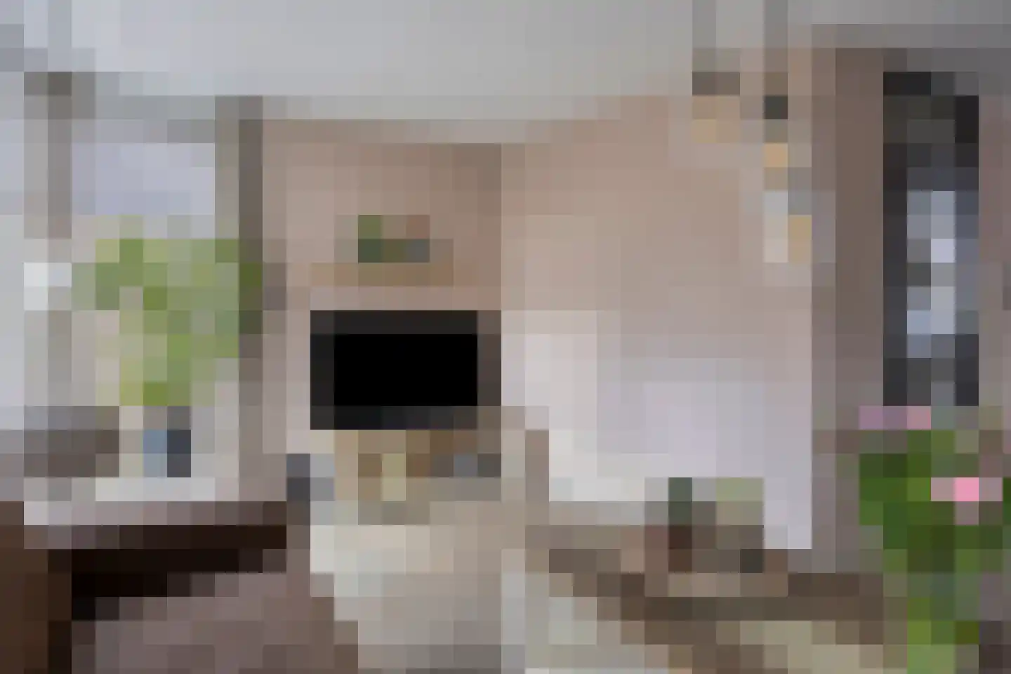 Aanschot 110 Eindhoven thumbnail 21