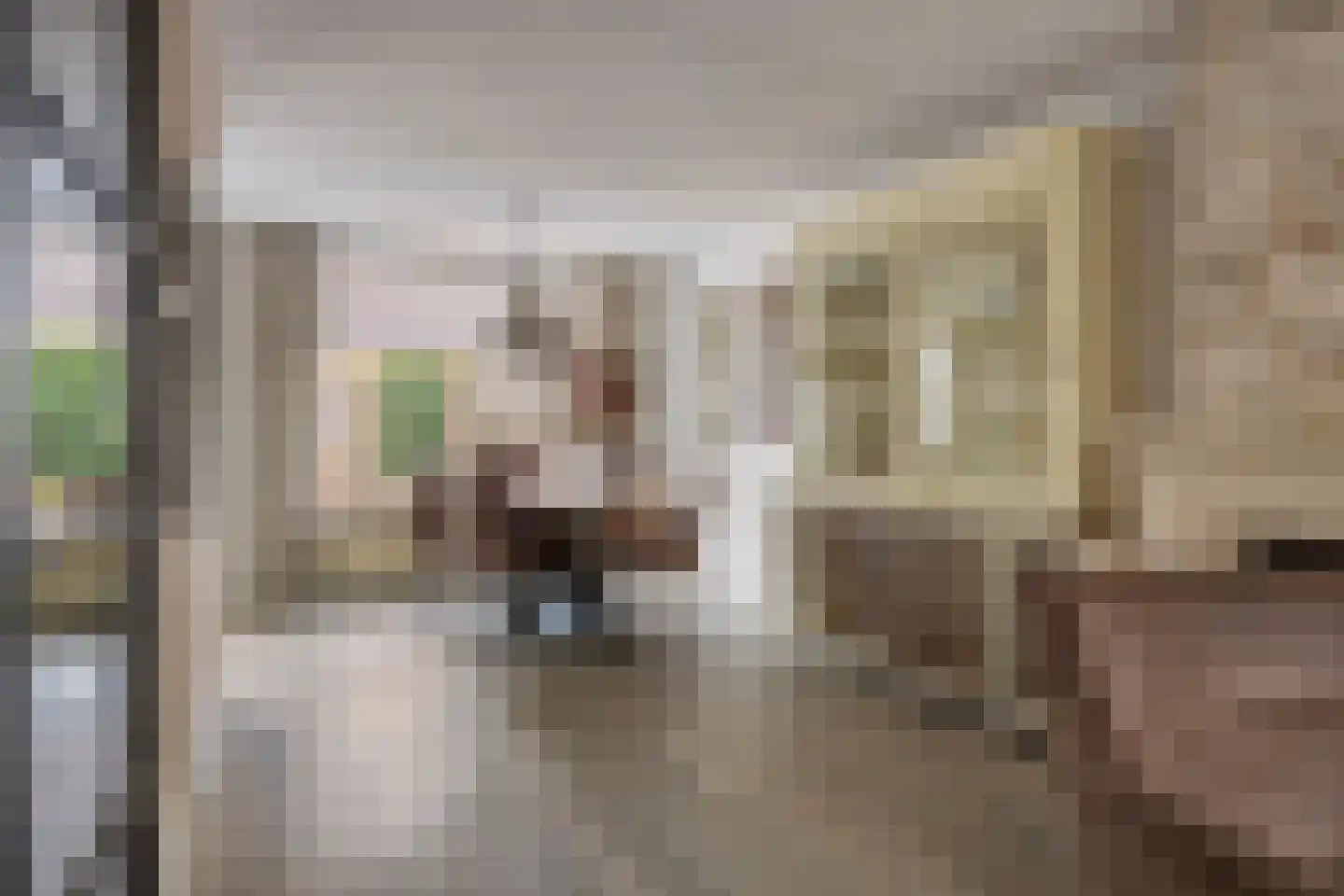 Aanschot 110 Eindhoven thumbnail 22