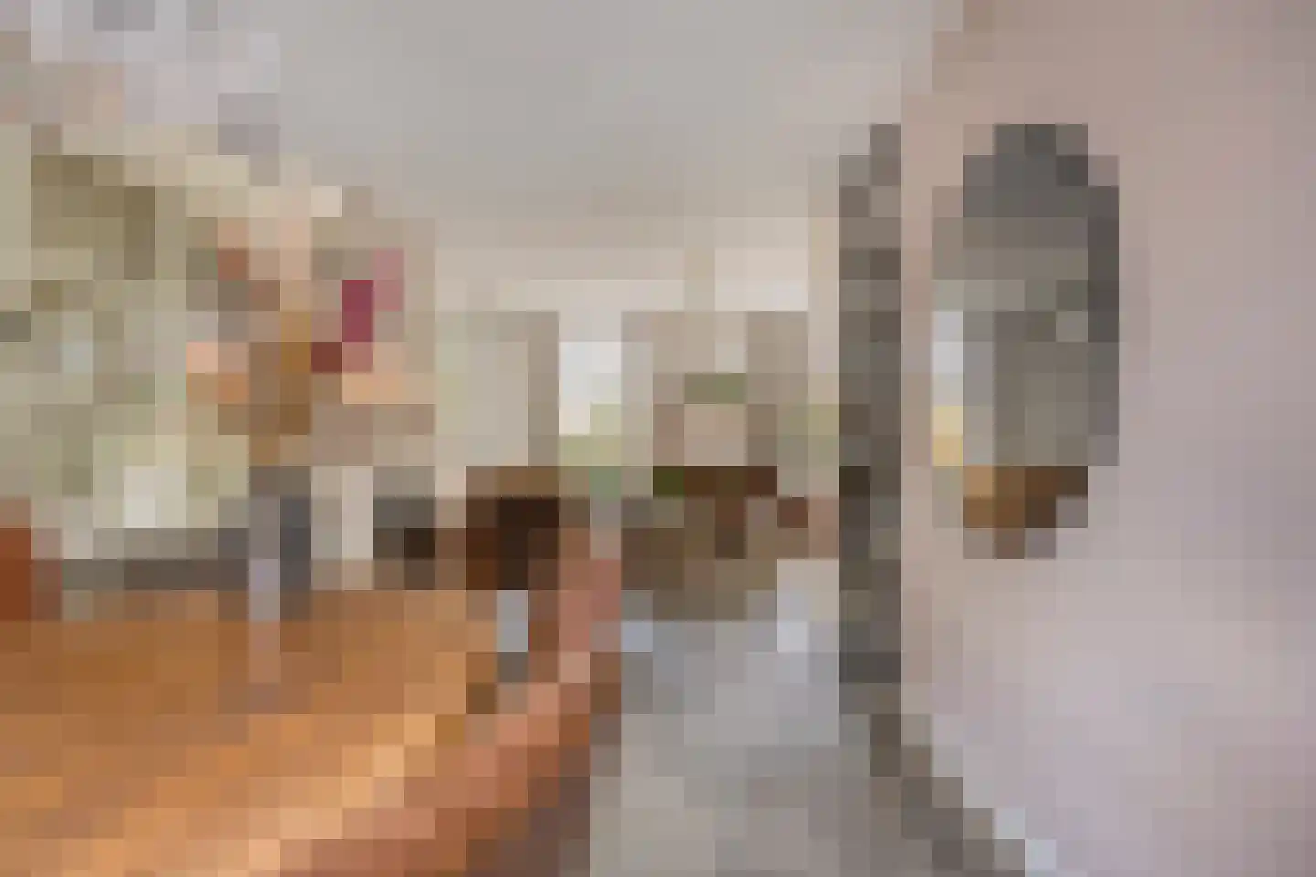 Aanschot 110 Eindhoven thumbnail 24