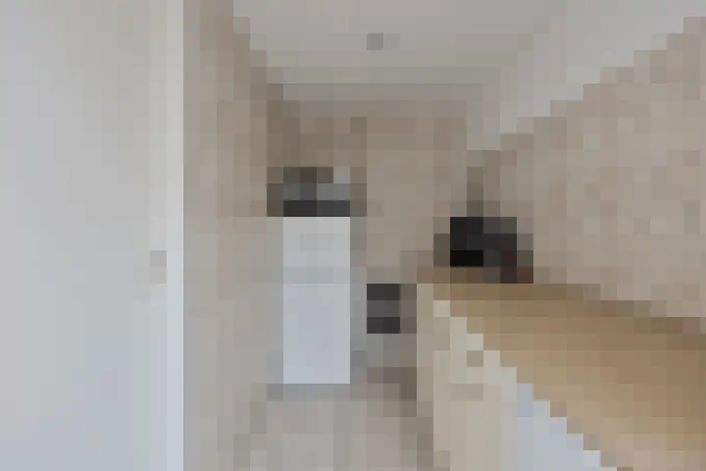 Aanschot 110 Eindhoven thumbnail 32