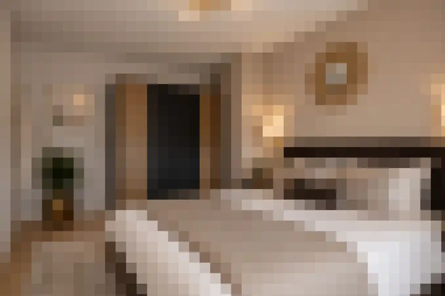 Aanschot 110 Eindhoven thumbnail 35
