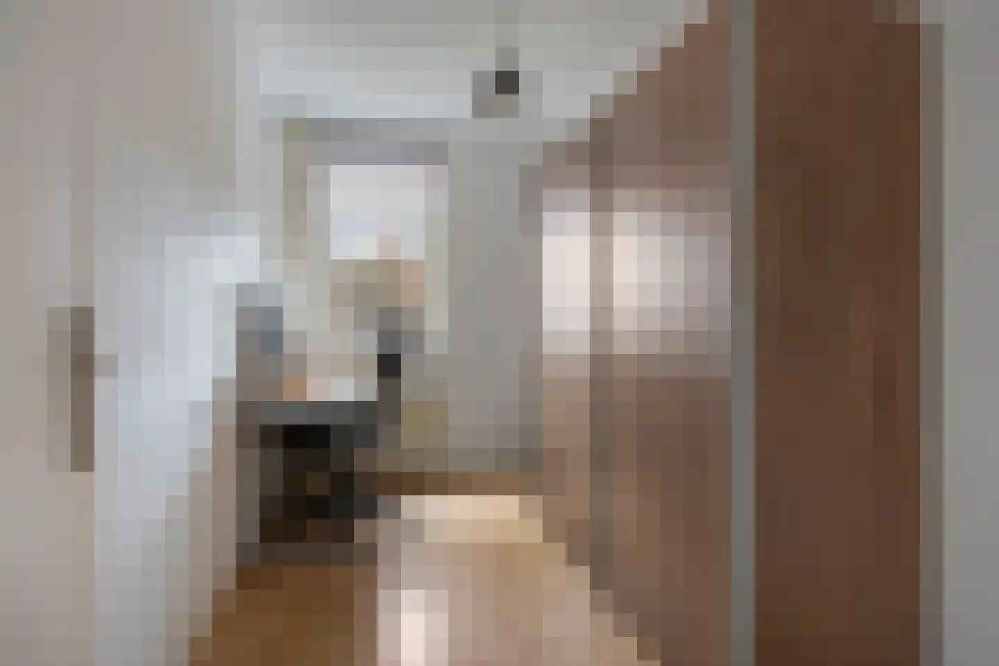 Aanschot 110 Eindhoven thumbnail 35