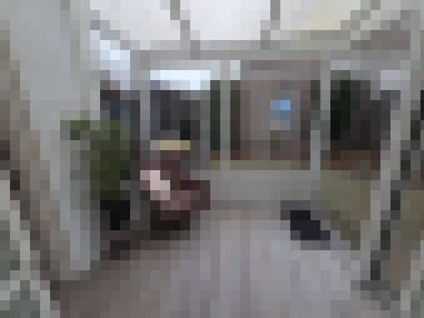 Aanschot 110 Eindhoven thumbnail 39