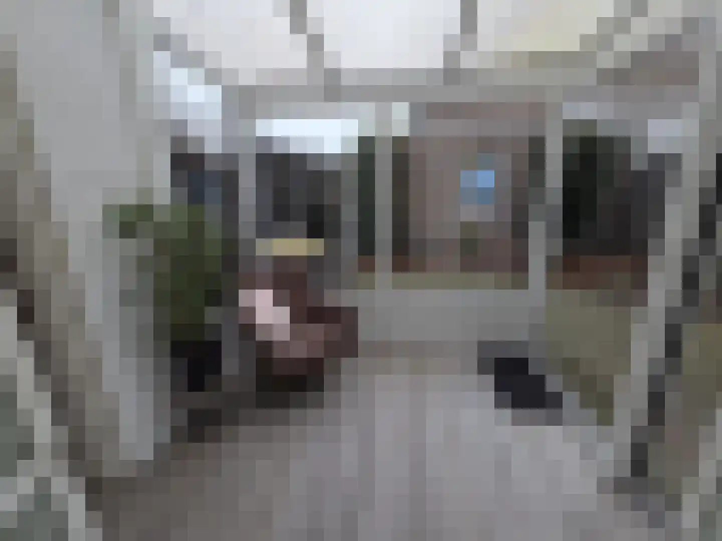 Aanschot 110 Eindhoven thumbnail 49