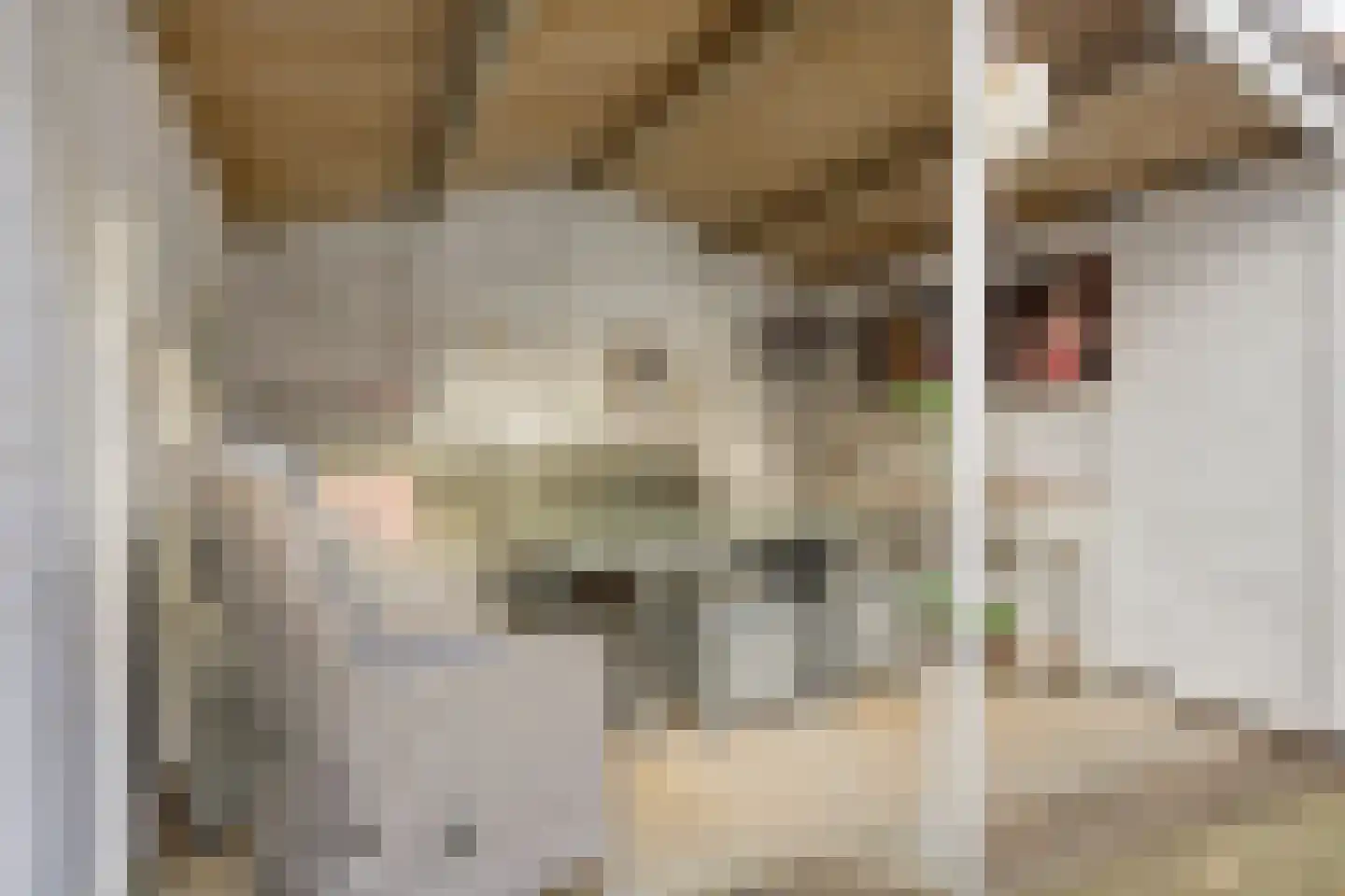 Aanschot 110 Eindhoven thumbnail 50