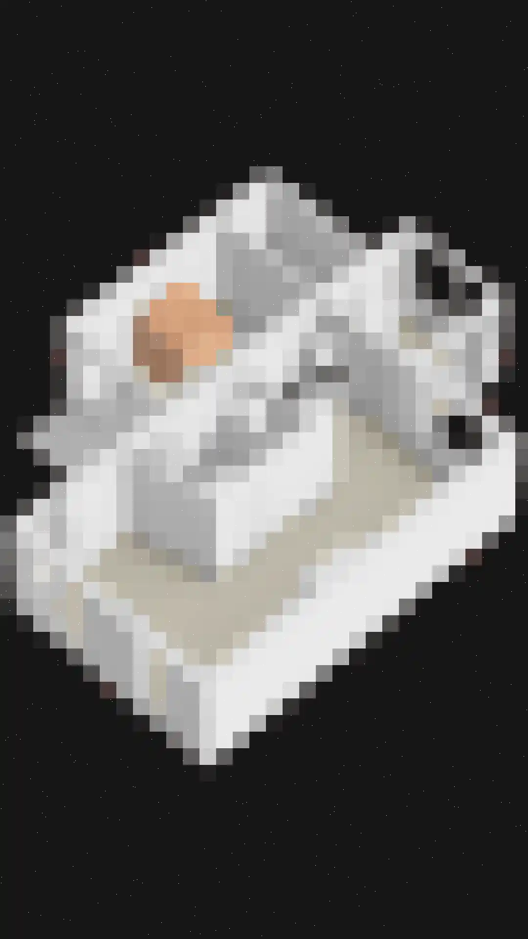 Aanschot 110 Eindhoven thumbnail 54