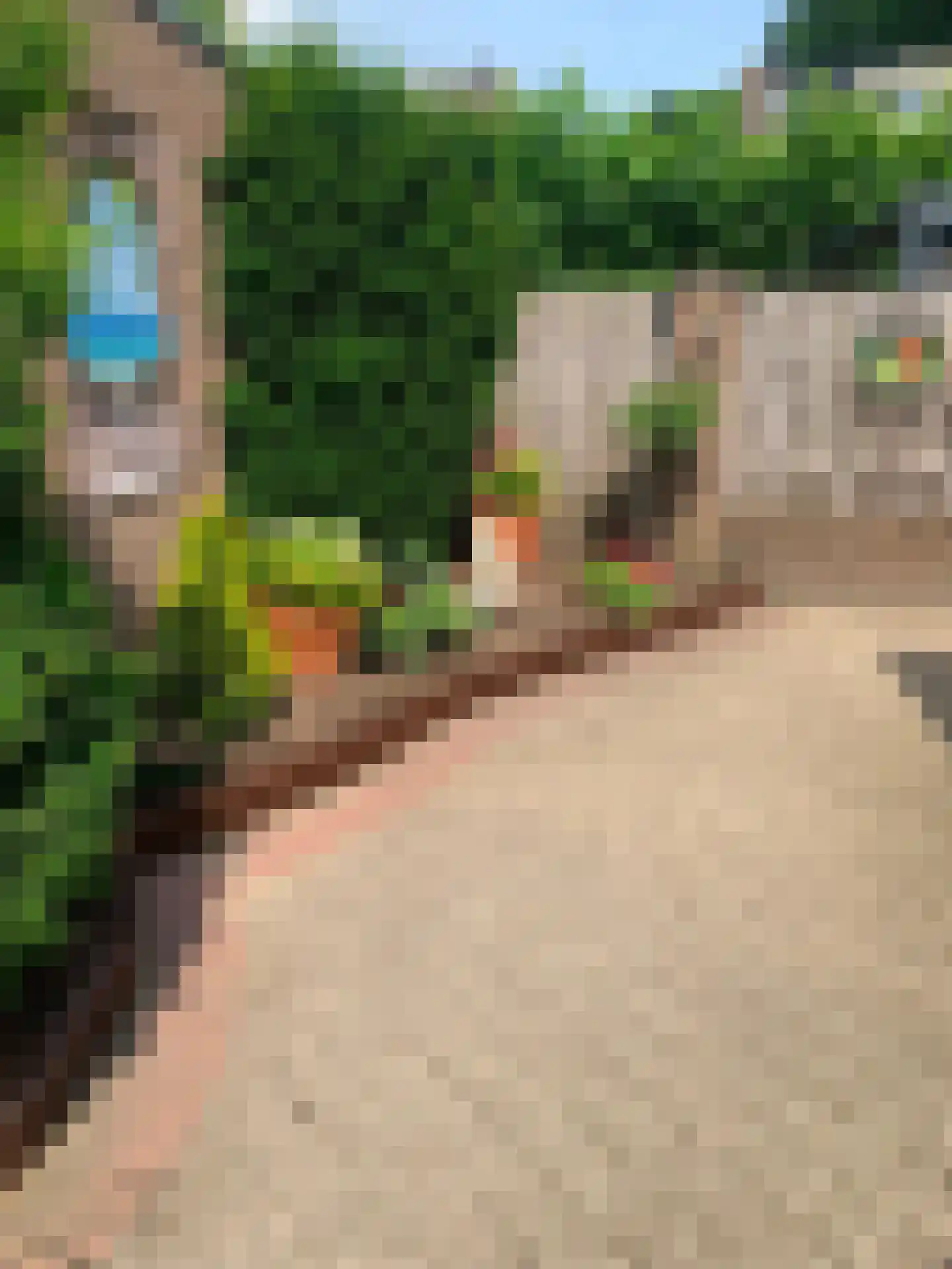 Aanschot 110 Eindhoven thumbnail 54