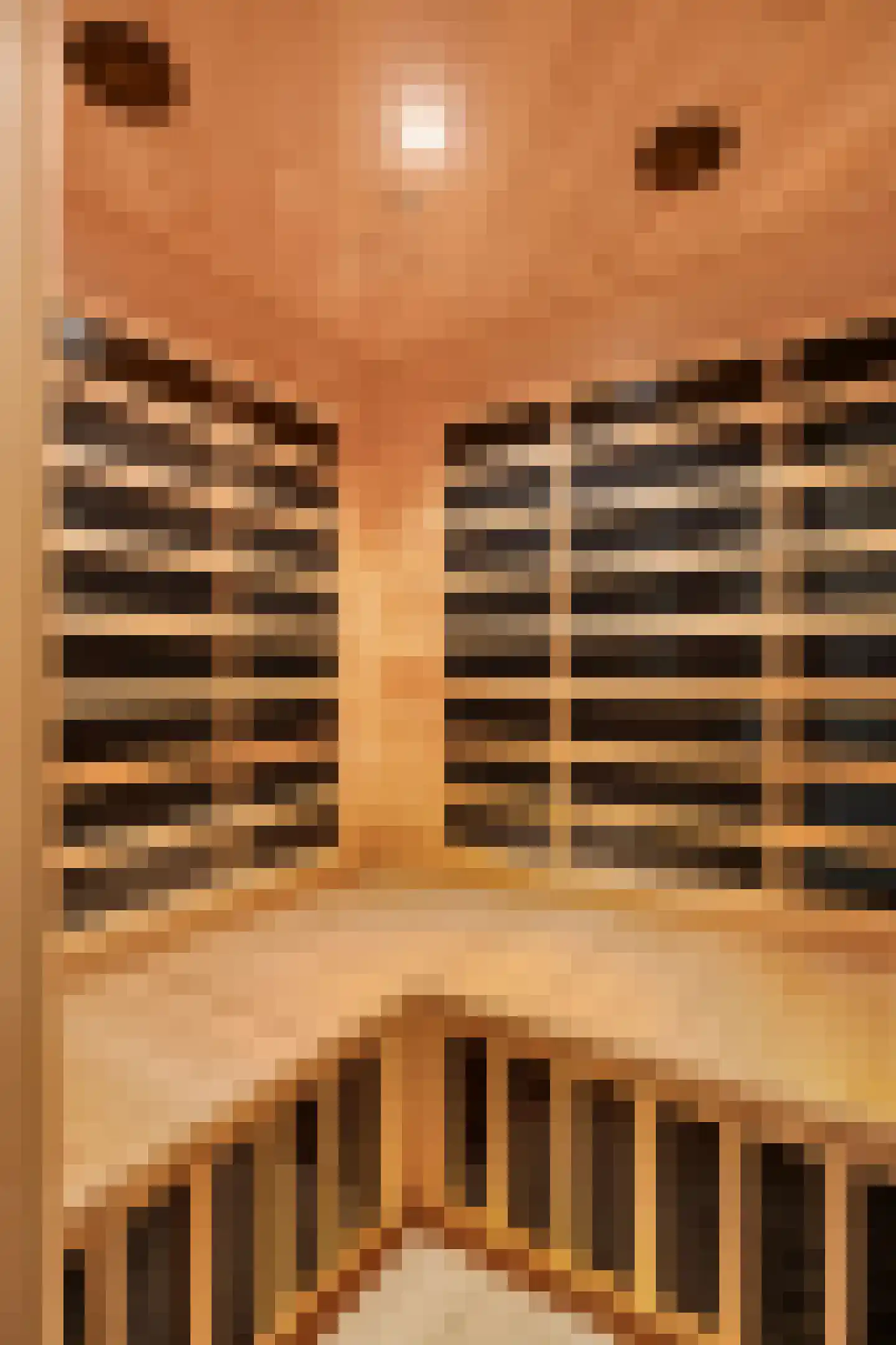 Aanschot 110 Eindhoven thumbnail 57