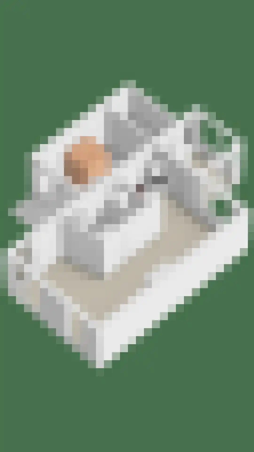 Aanschot 110 Eindhoven thumbnail 61