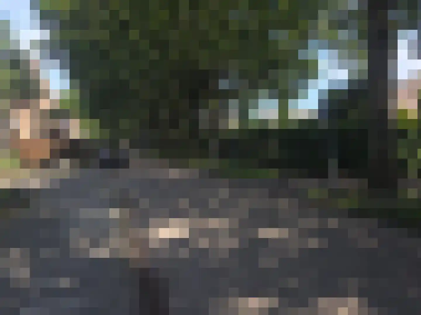 Aanschot 110 Eindhoven thumbnail 73