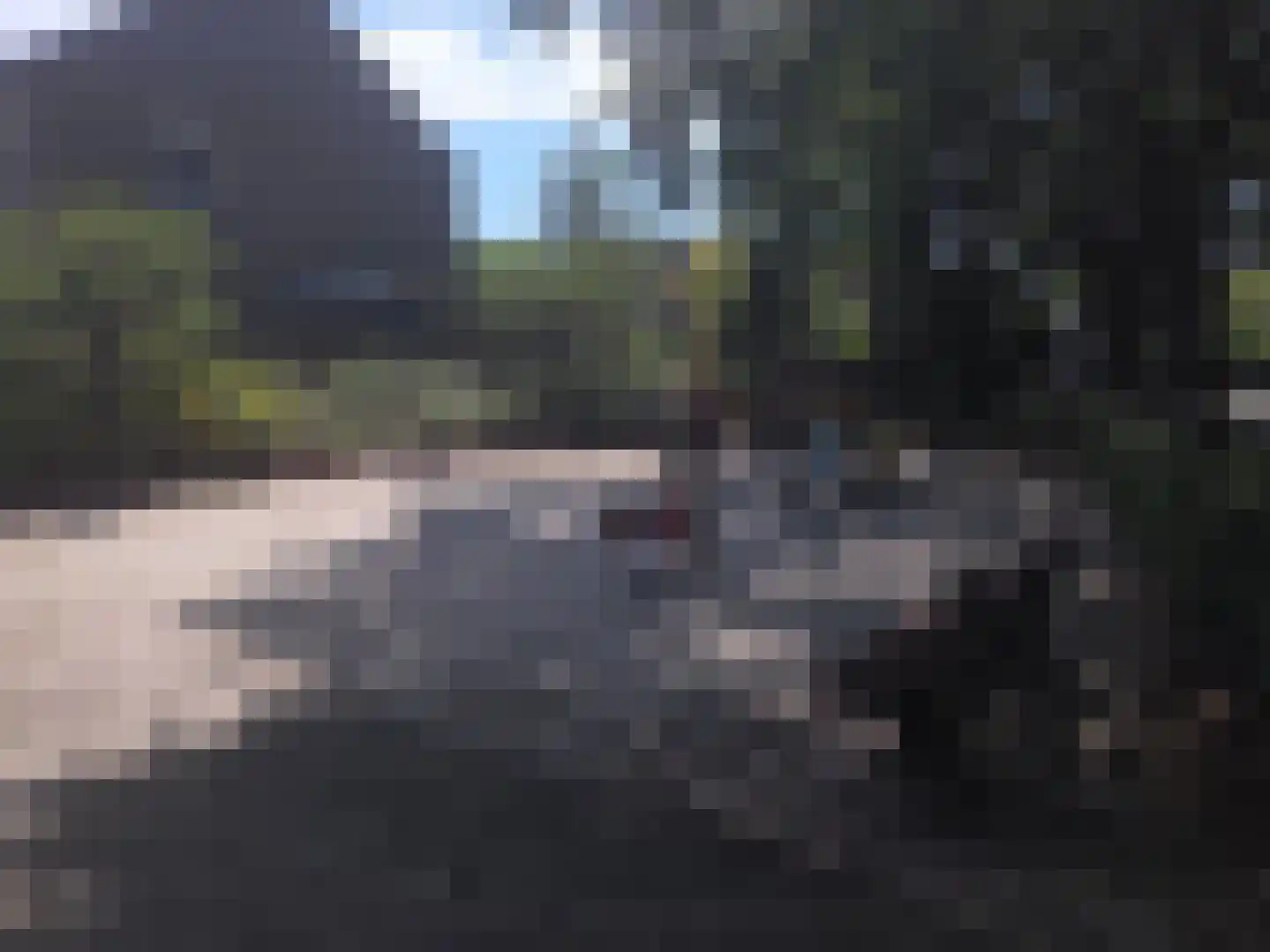 Aanschot 110 Eindhoven thumbnail 74