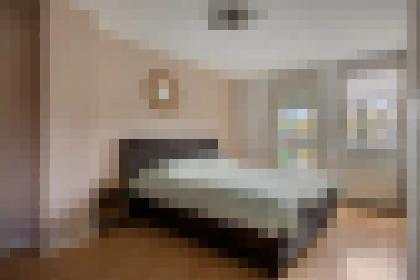 Aanschot 110 Eindhoven thumbnail 8