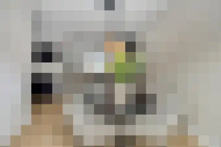 Aanslagsweg 33 Borne thumbnail 17