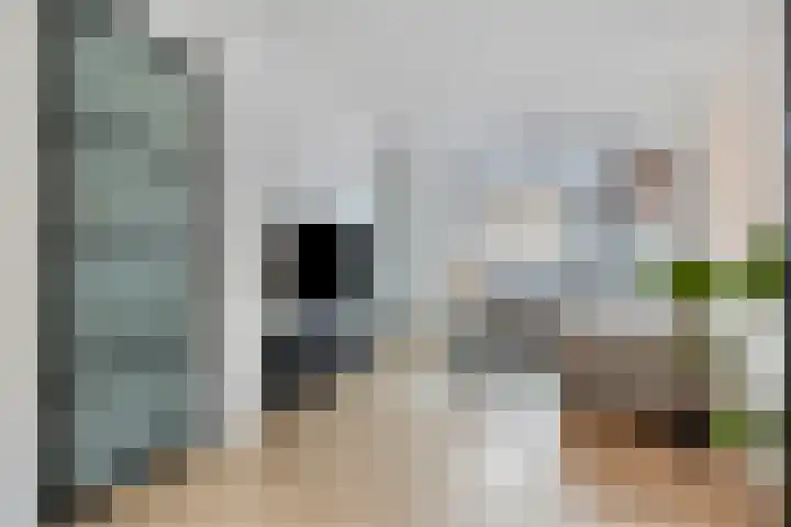 Aanslagsweg 33 Borne foto 2