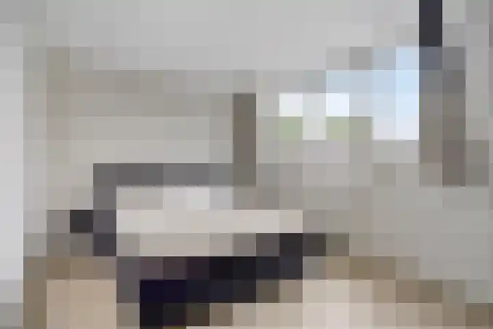 Aanslagsweg 33 Borne thumbnail 25