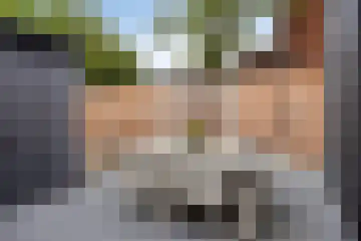 Aanslagsweg 33 Borne thumbnail 6