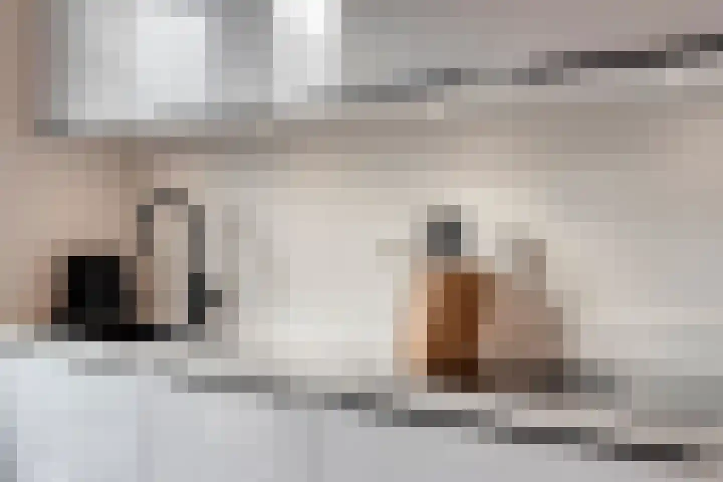 Aanstede 10 Best thumbnail 15