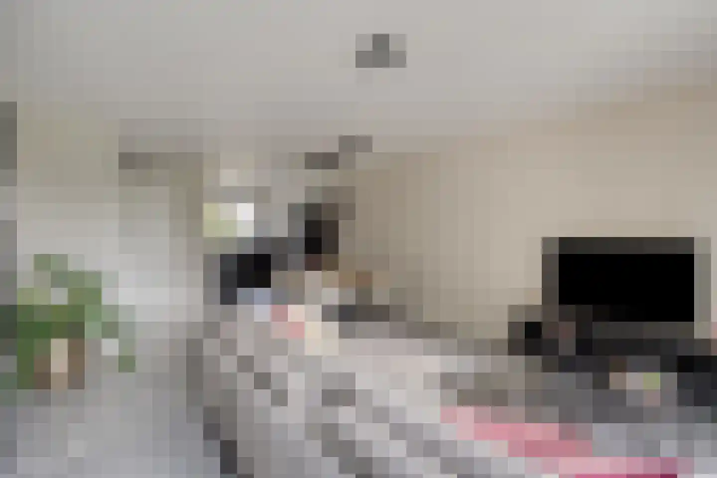 Aanstede 13 Best thumbnail 15