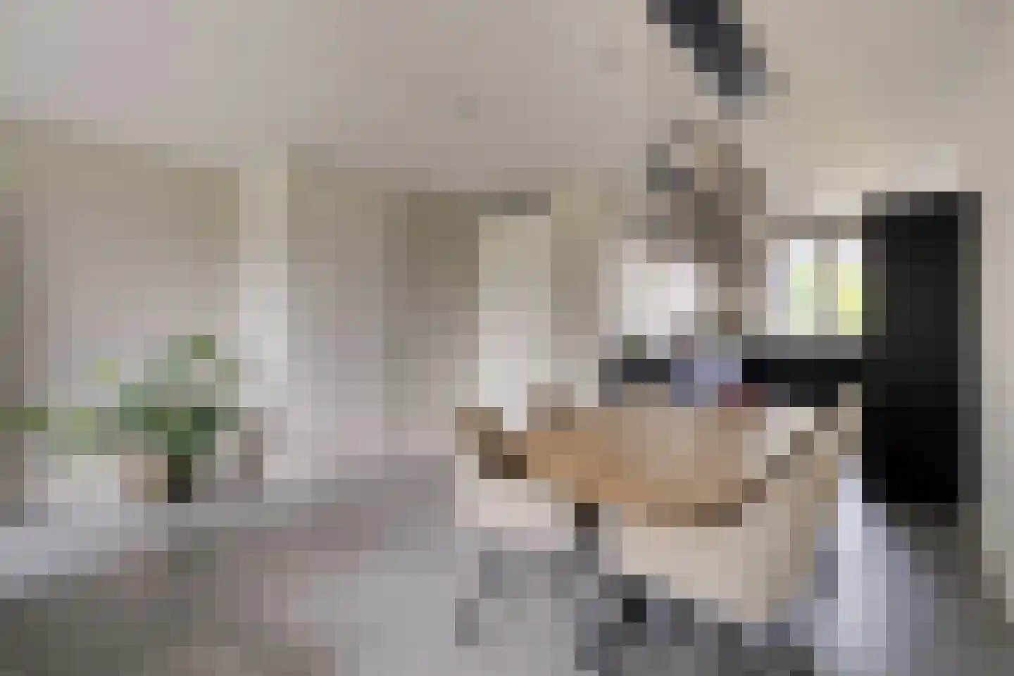 Aanstede 13 Best thumbnail 17