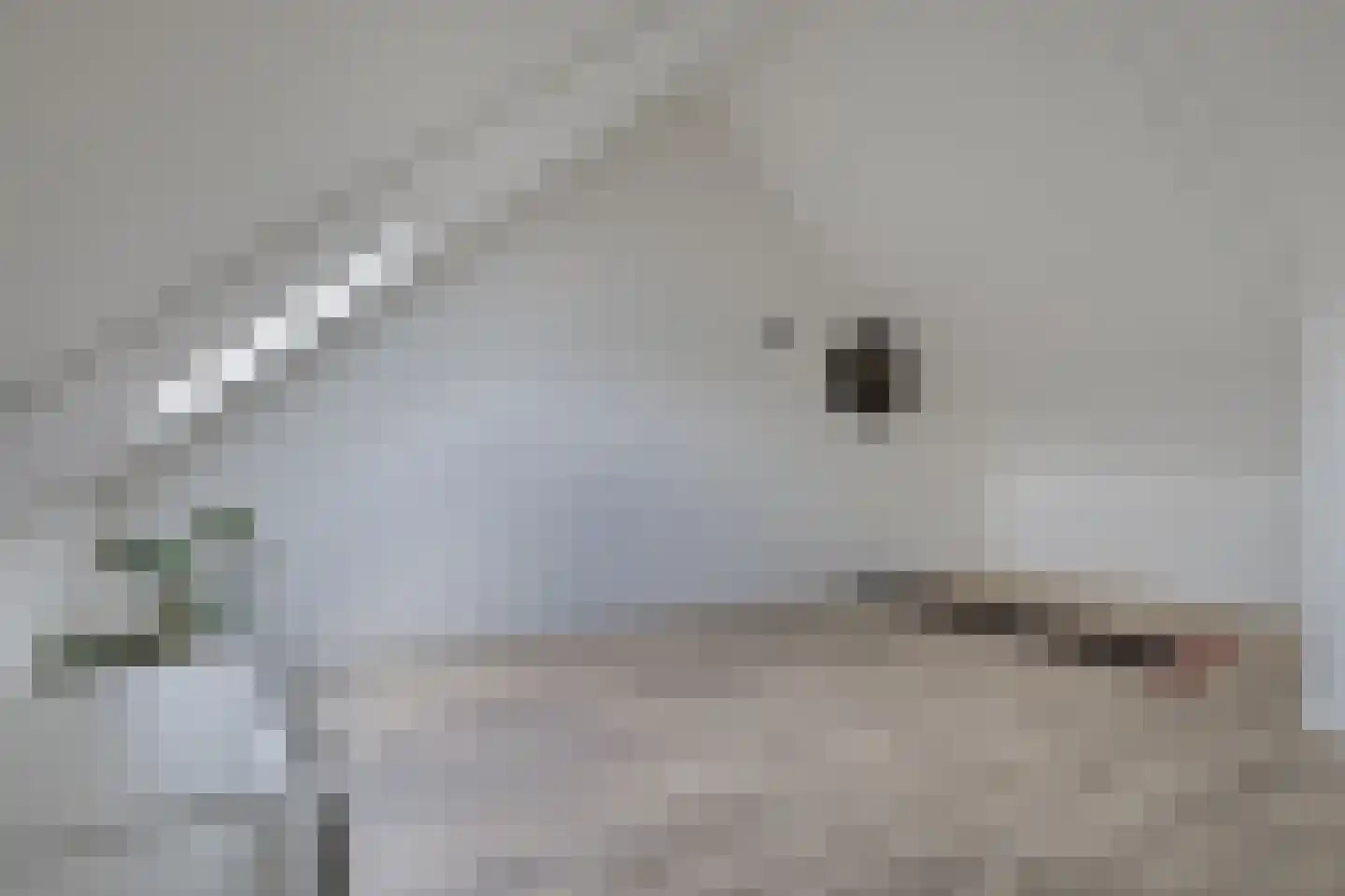 Aanstede 13 Best thumbnail 34