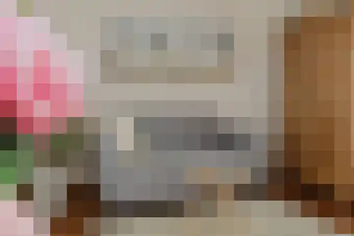 Aanstee 18 Klein Zundert thumbnail 12