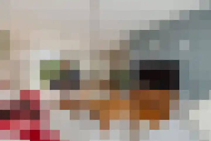 Aanstee 18 Klein Zundert thumbnail 15