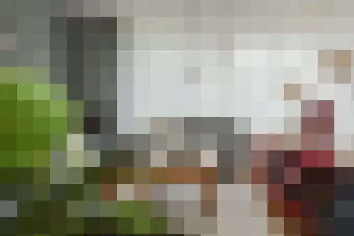 Aanstee 18 Klein Zundert thumbnail 16